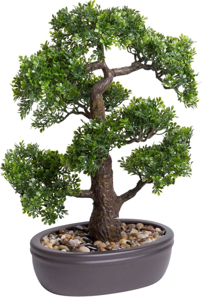 Botanic-Haus Kunstbonsai »Ficus Bonsai« von Botanic-Haus