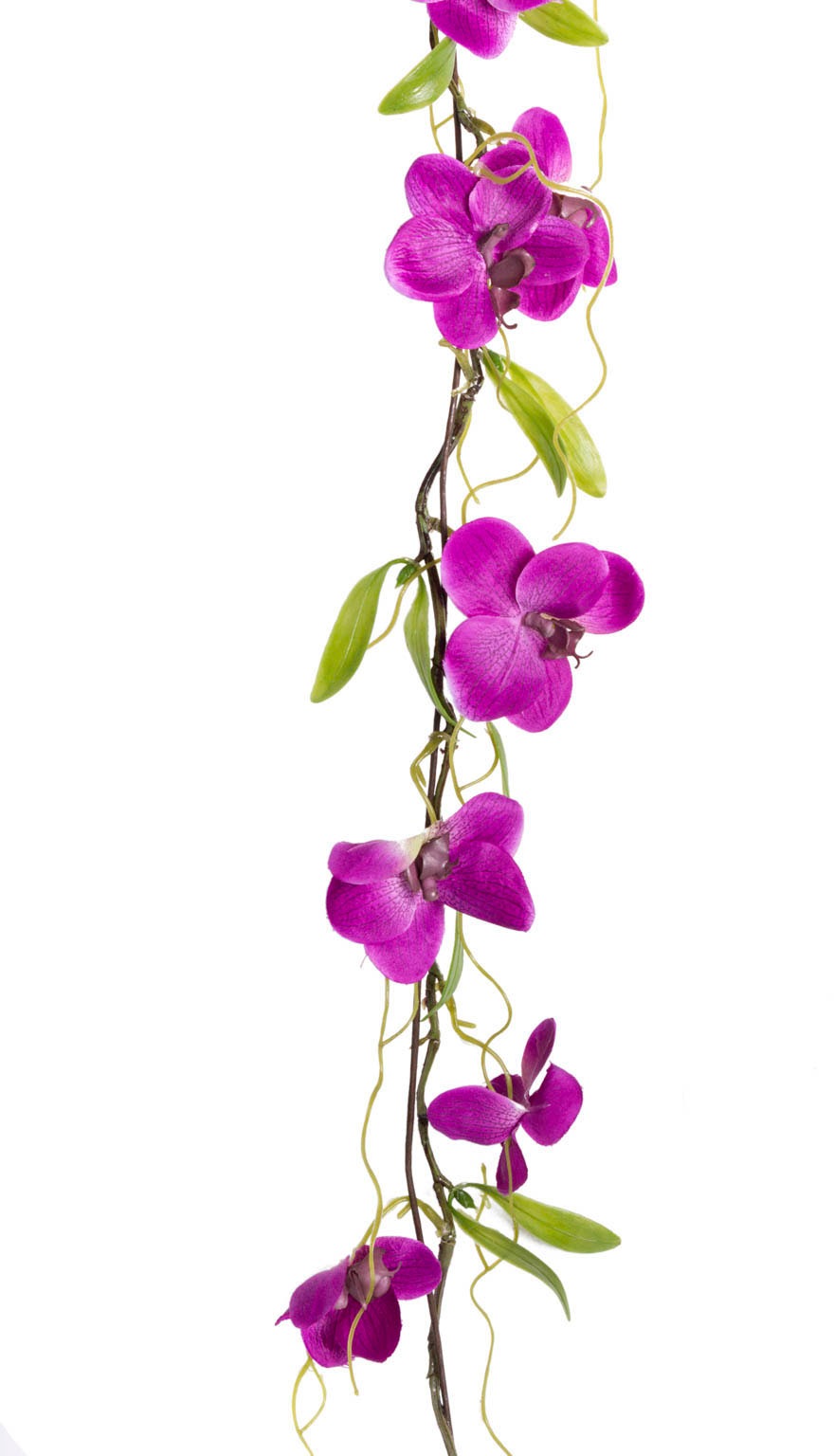 Botanic-Haus Kunstranke »Orchideengirlande« Botanic-Haus Kunstranke »Orchideengirlande« von Botanic-Haus
