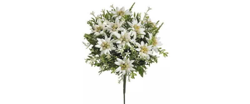 Kunstblume »Dekomat AG Edelweiss-Strauss 29 cm« von Botanic-Haus