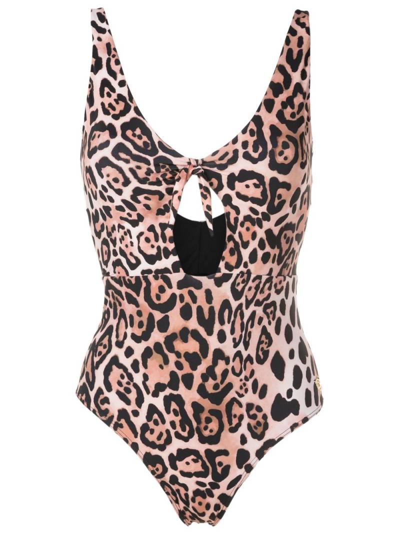 Brigitte cut-out leopard-print swimsuit - Brown von Brigitte