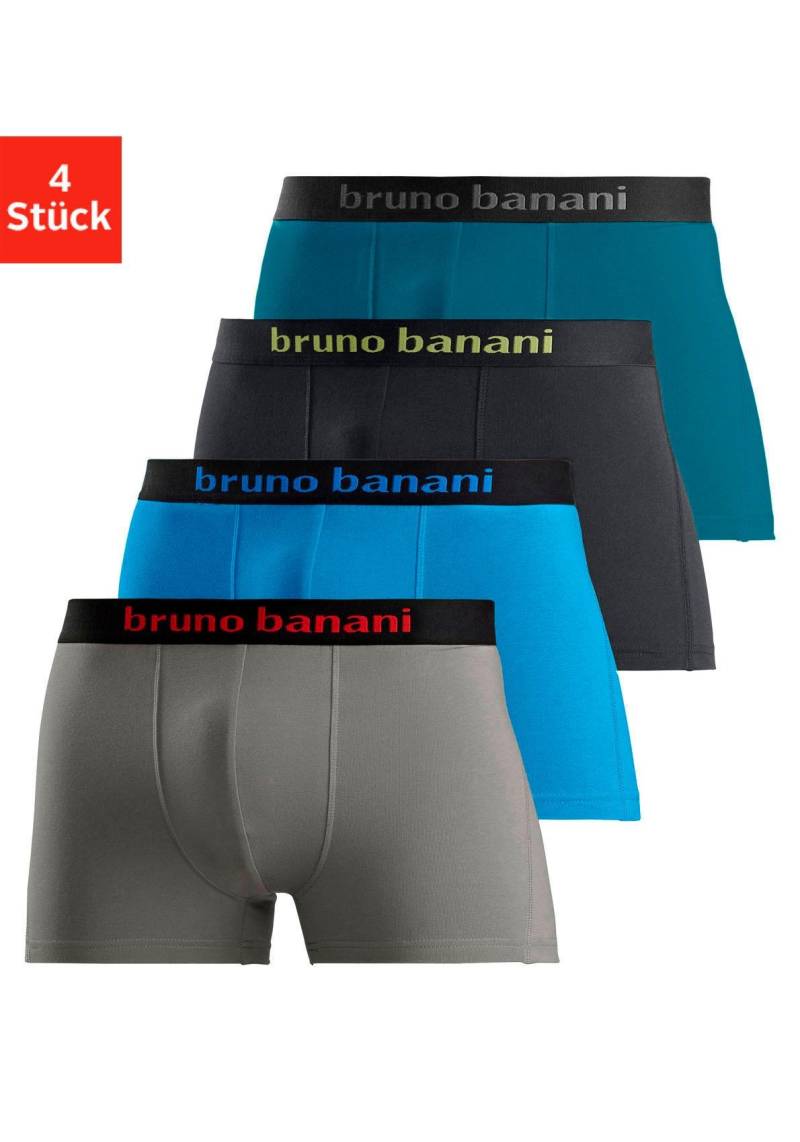 Bruno Banani Boxer, (Packung, 4 St.), mit farbigen Marken-Schriftzug am Bündchen von Bruno Banani