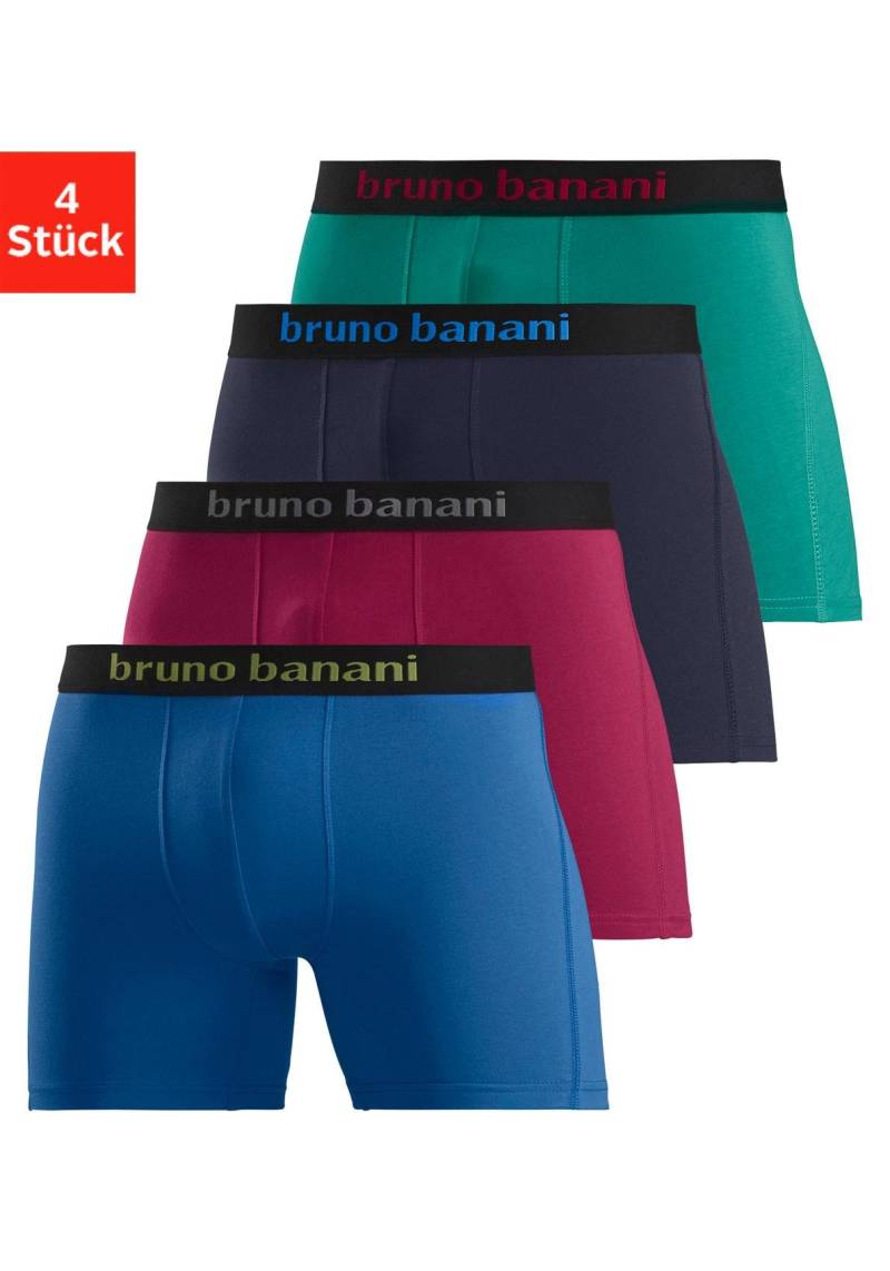 Bruno Banani Boxer »Unterhose für Herren«, (Packung, 4 St.), mit längerem Bein und auffälligen Logobund von Bruno Banani