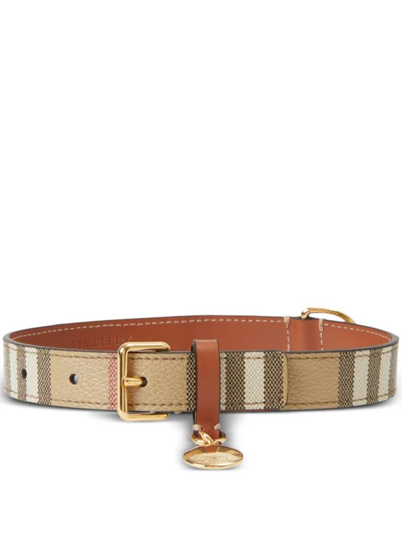 Burberry medium Vintage Check dog collar - Neutrals von Burberry