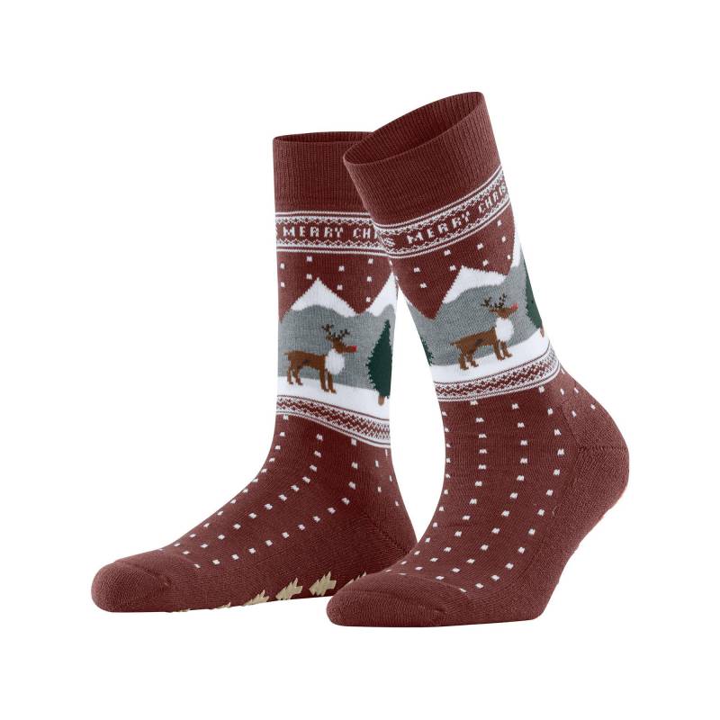 Socken Damen Bordeaux 36-41 von Burlington