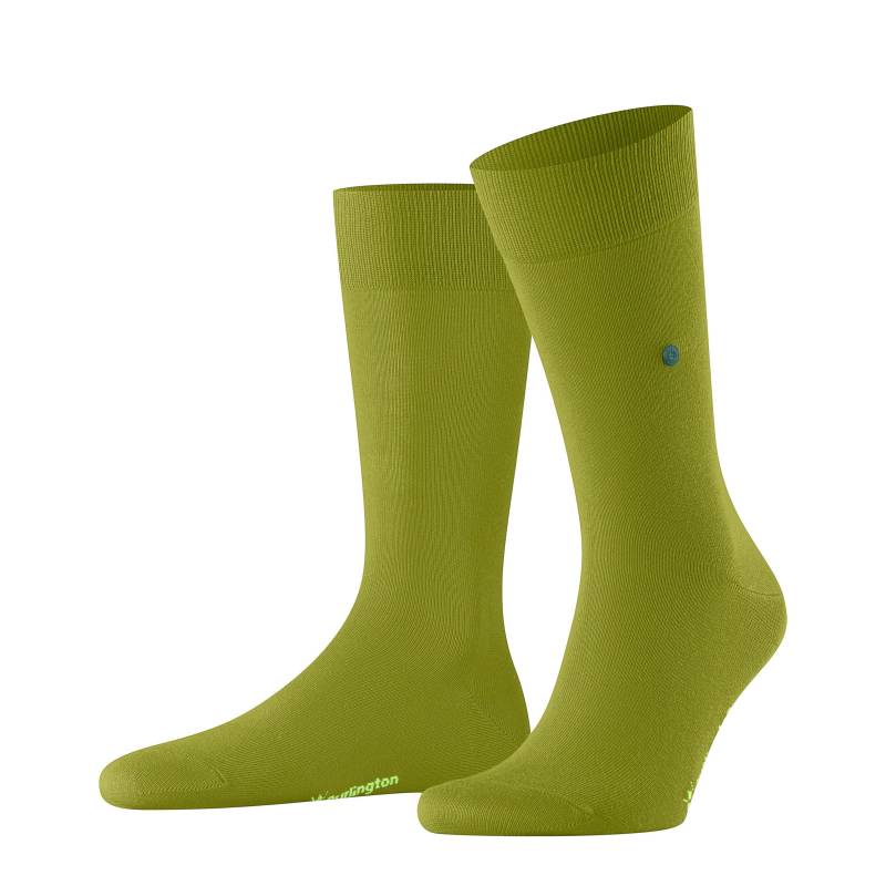 Socken Lord Herren Hellgrün 46-50 von Burlington