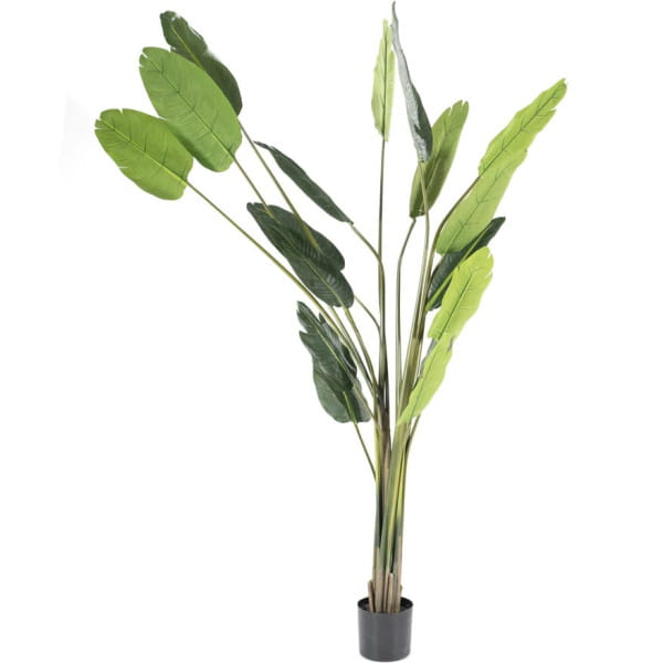 Kunstpflanze Strelitzia large von By-Boo