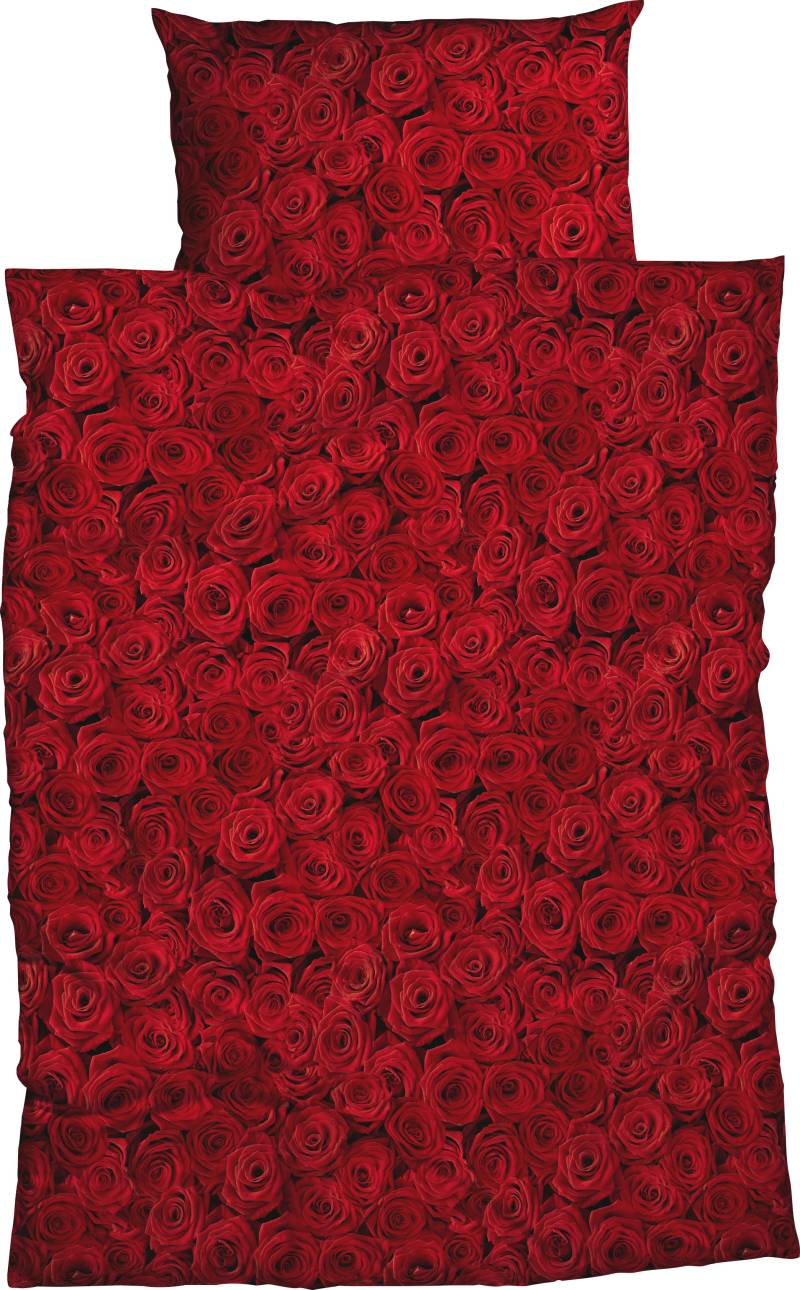 CASATEX Bettwäsche »Red Rose«, romantische rote Rosen von CASATEX