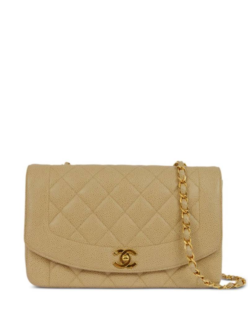 CHANEL Pre-Owned 1995 medium Diana shoulder bag - Yellow von CHANEL Pre-Owned