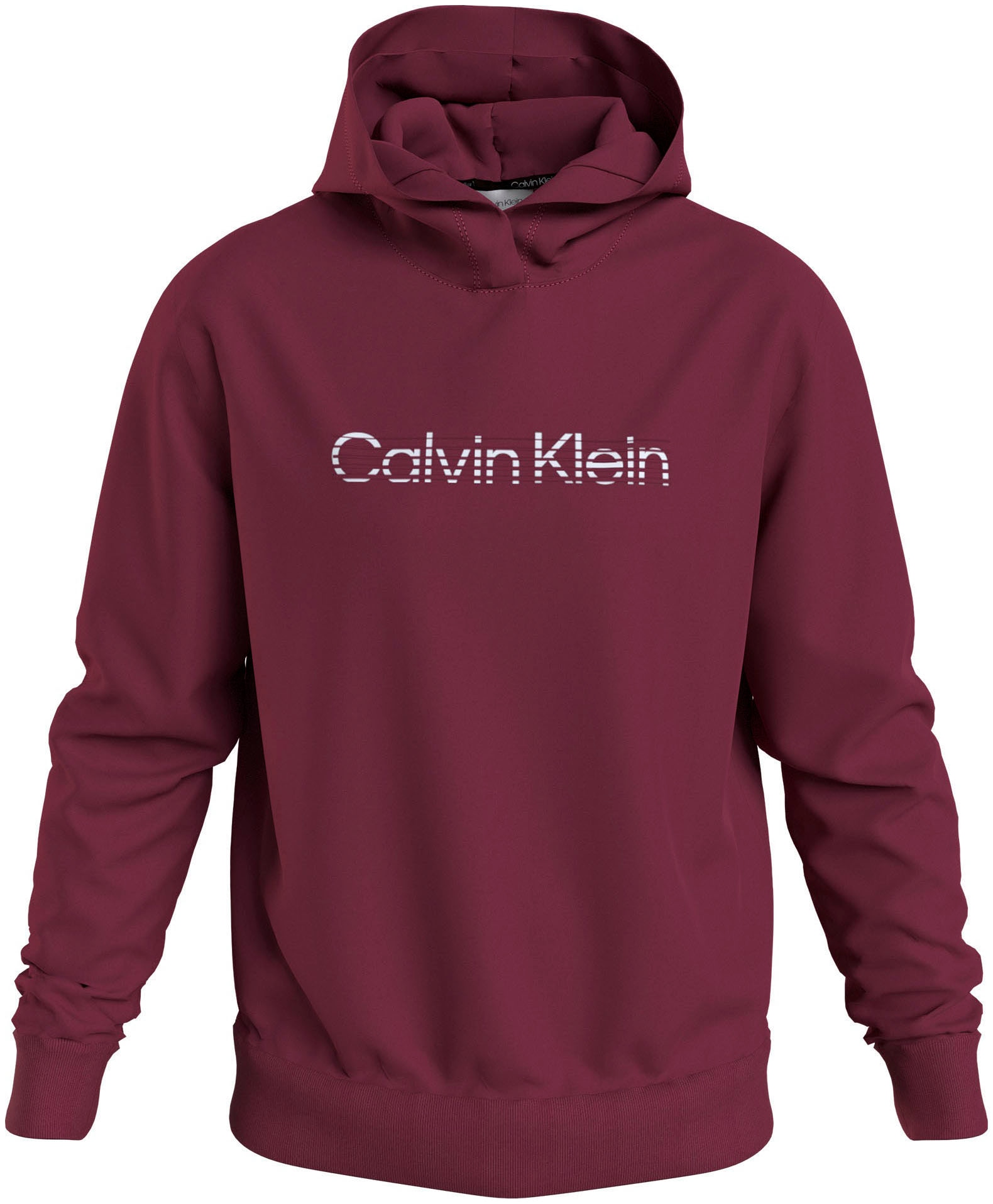 Calvin Klein Kapuzensweatshirt »DEGRADE LOGO HOODIE« von Calvin Klein