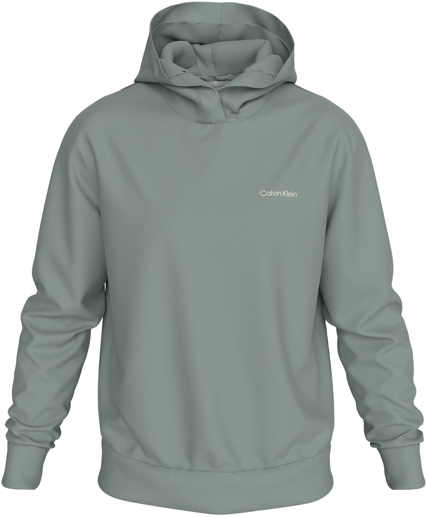 Calvin Klein Kapuzensweatshirt »ENLARGED BACK LOGO HOODIE«, mit Logodruck von Calvin Klein