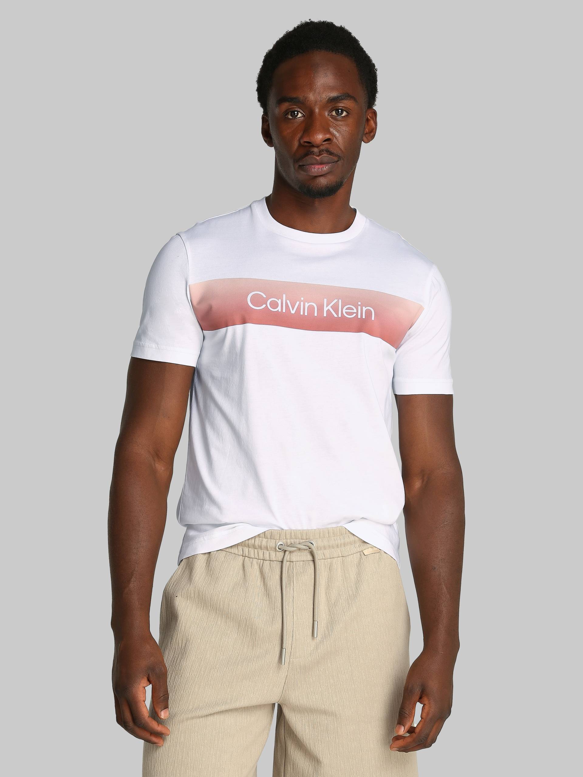 Calvin Klein T-Shirt »LINEAR OMBRE CHEST LOGO T-SHIRT«, mit Ombré-Logo-Druck von Calvin Klein