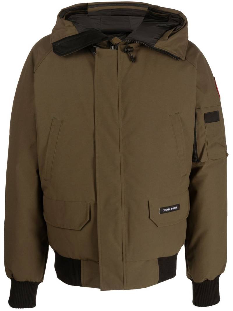 Canada Goose Chilliwack hooded bomber jacket - Green von Canada Goose