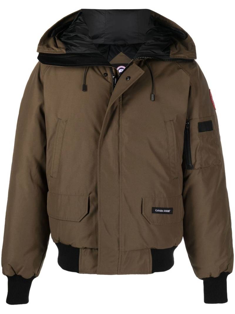 Canada Goose Chilliwack padded bomber jacket - Green von Canada Goose