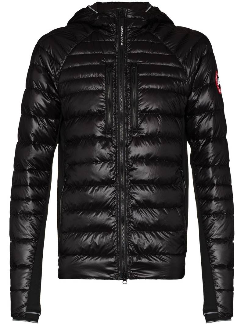 Canada Goose black Hybridge Lite padded jacket von Canada Goose