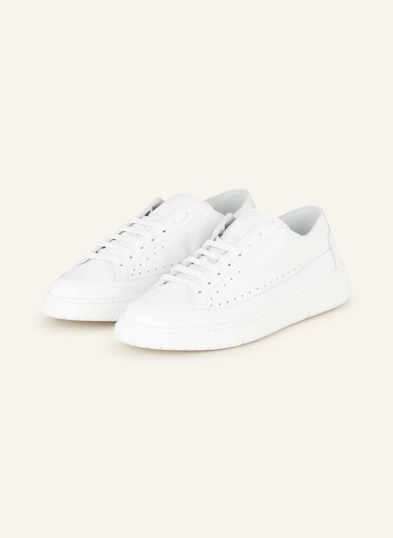 Candice Cooper Sneaker Tea weiss von Candice Cooper