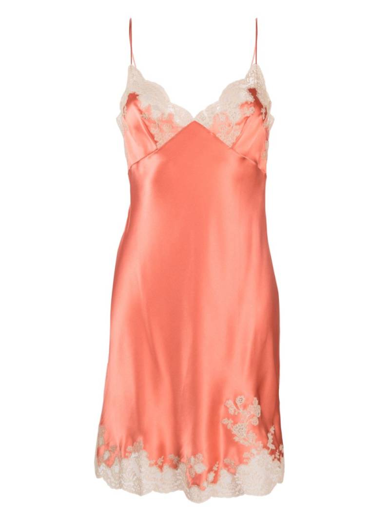 Carine Gilson Calais-Caudry lace-trim silk slip dress - Pink von Carine Gilson