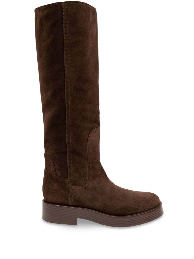 Casadei suede knee-high boots - Brown von Casadei