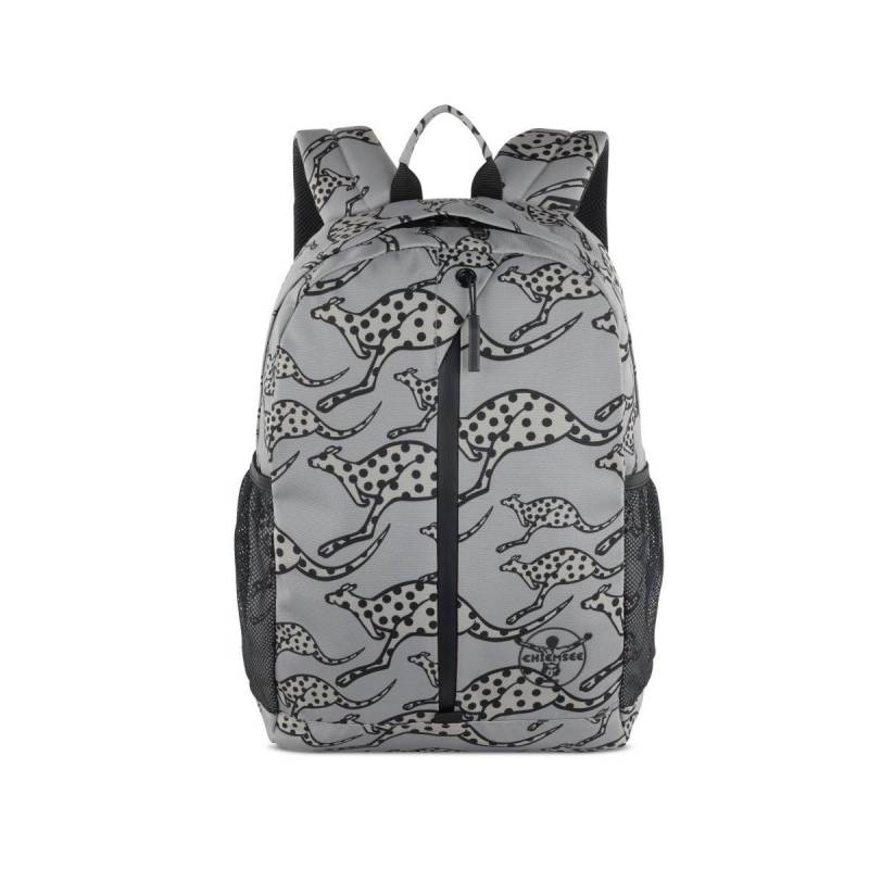 Chiemsee - Jump N Fly Rucksack Klein Grau, für Herren, One Size von Chiemsee