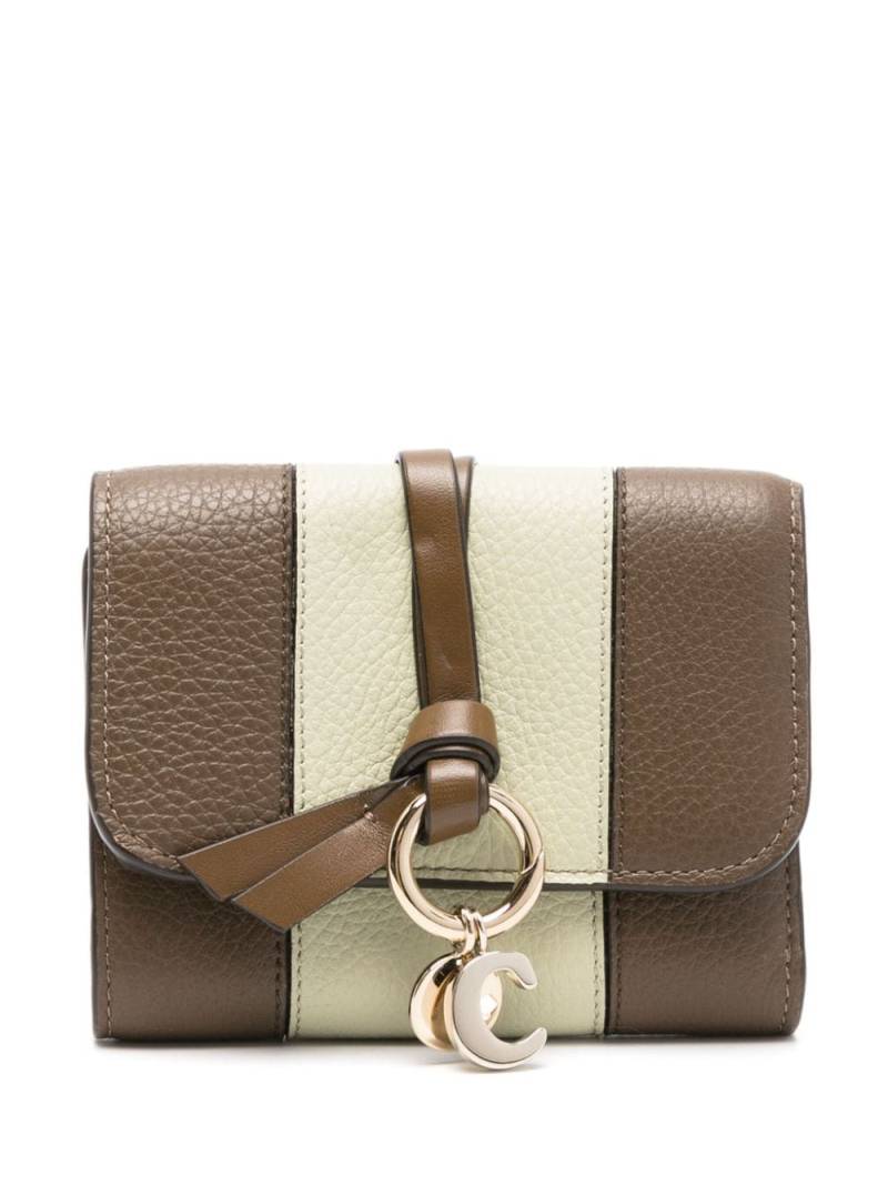 Chloé small Alphabet wallet - Brown von Chloé