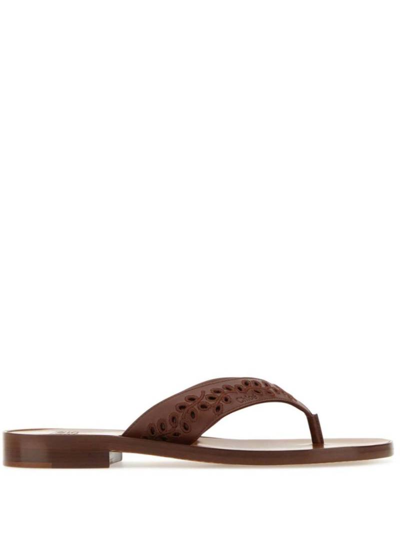 Chloé x Eres leather thong flip flops - Brown von Chloé