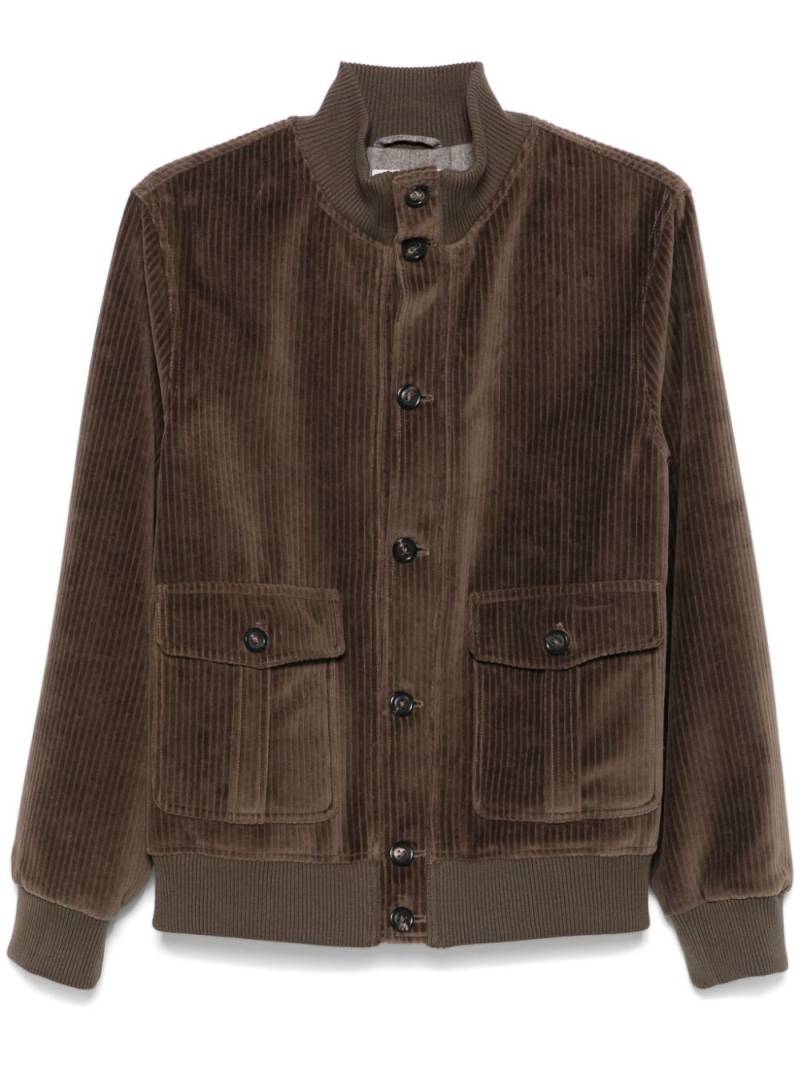 Circolo 1901 corduroy bomber jacket - Brown von Circolo 1901