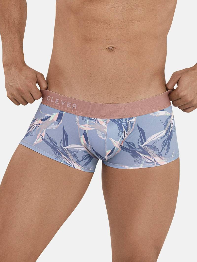 Lateinischer Boxer Arcane Herren Grau XL von Clever