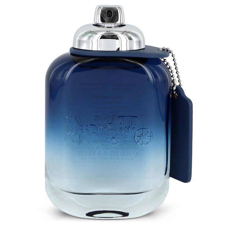 Coach Blue Eau de Toilette 100ml von Coach