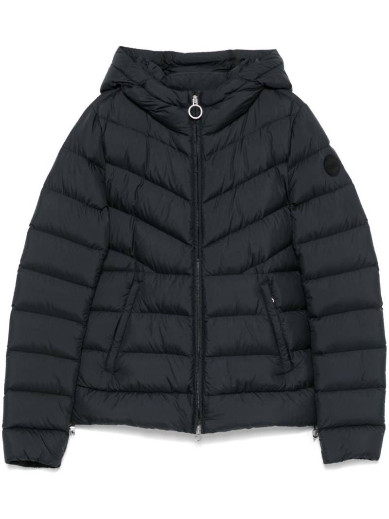 Colmar hooded puffer jacket - Black von Colmar