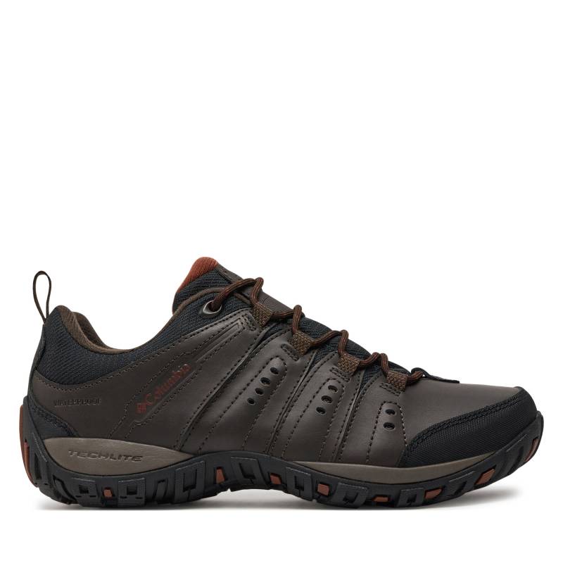 Trekkingschuhe Columbia Peakfreak Nomad Waterproof BM3924 Braun von Columbia