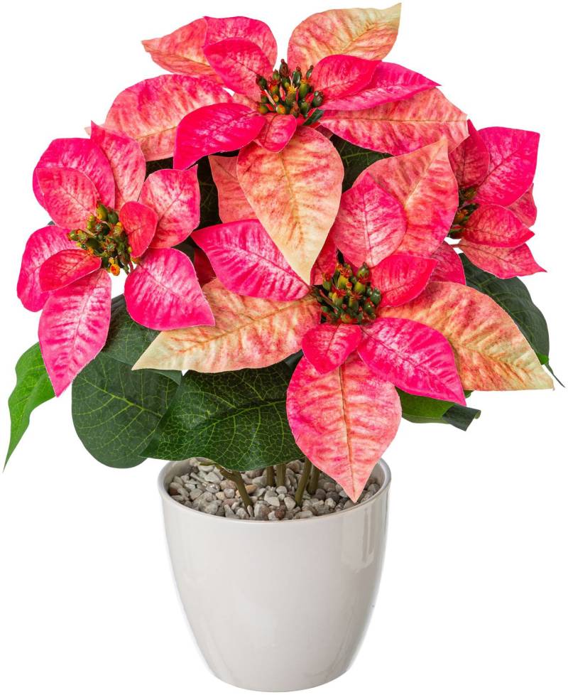 Creativ deco Winterliche Kunstpflanze »Weihnachtsdeko«, Poinsettienbusch im Keramiktopf von Creativ deco