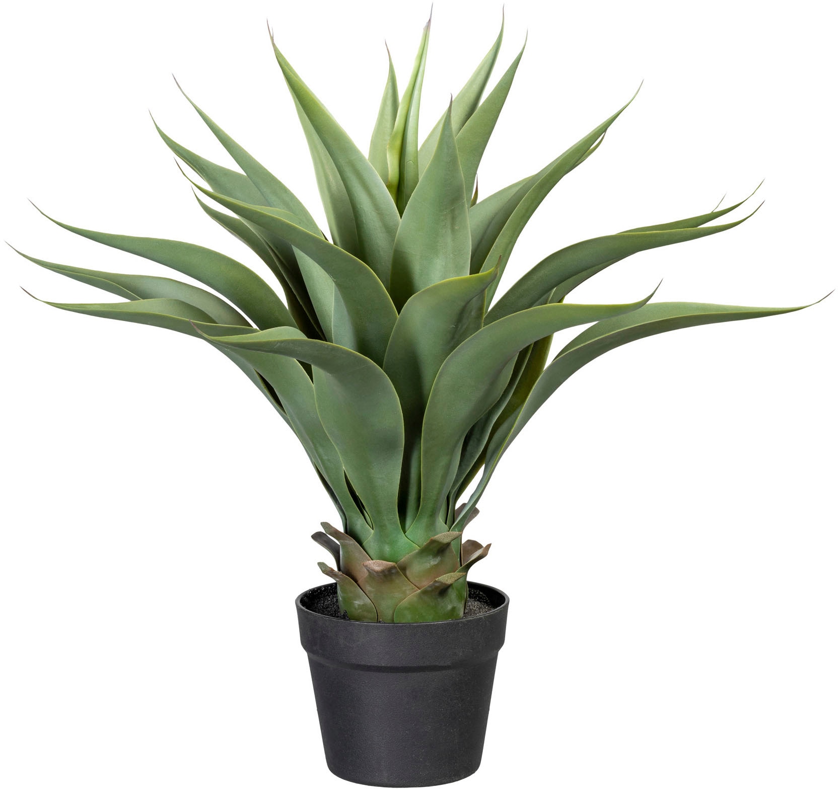 Creativ green Künstliche Zimmerpflanze »Agave« von Creativ green