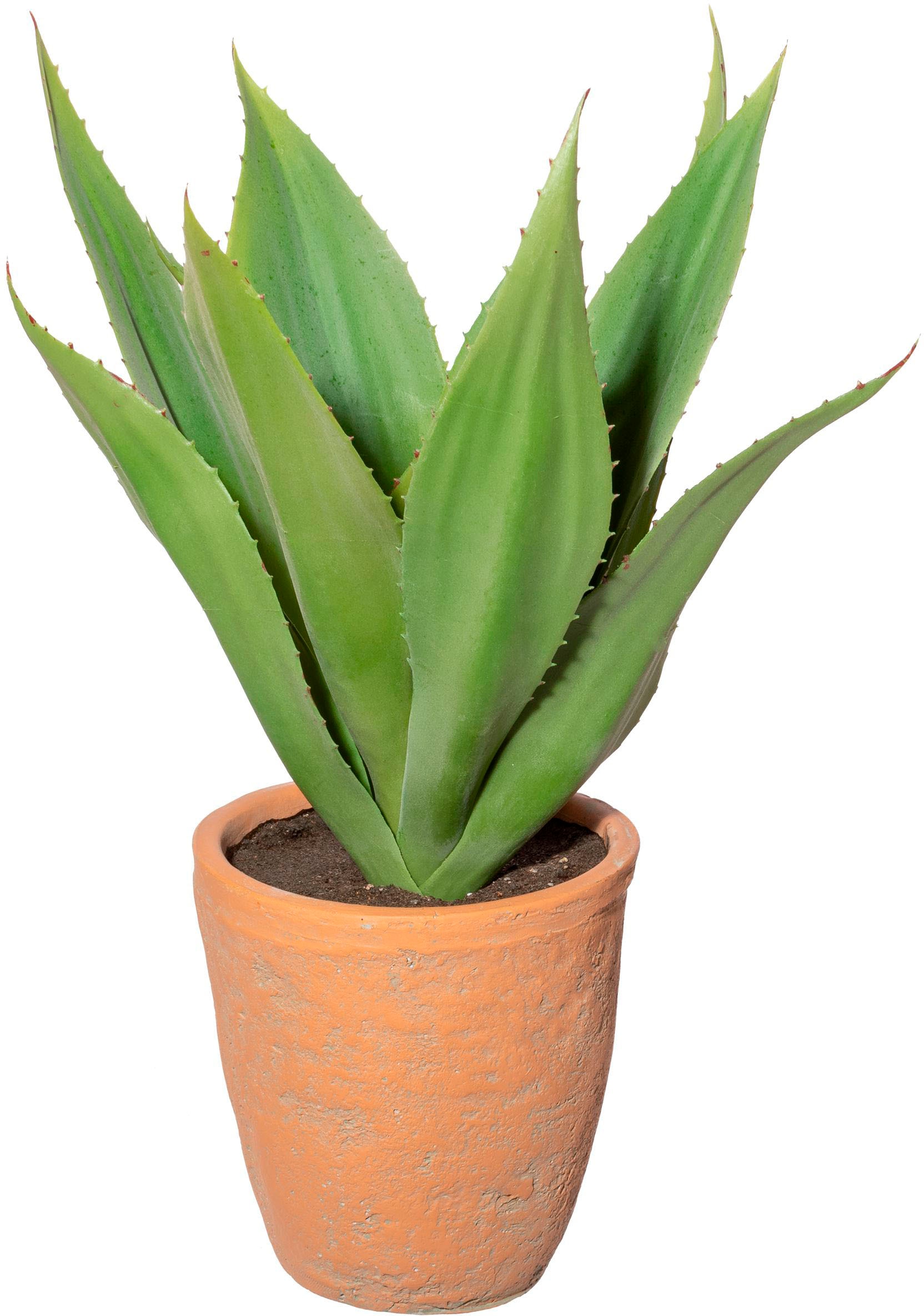 Creativ green Künstliche Zimmerpflanze »Agave im Terracottatopf« von Creativ green