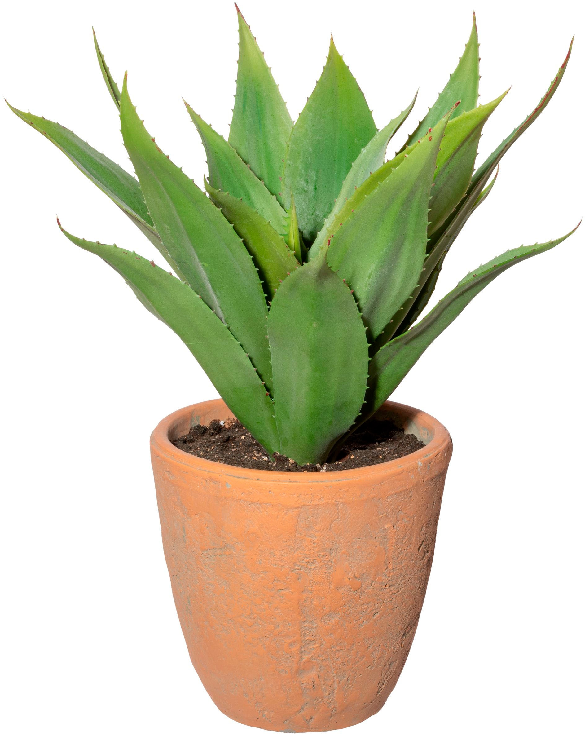 Creativ green Künstliche Zimmerpflanze »Agave im Terracottatopf« Creativ green Künstliche Zimmerpflanze »Agave im Terracottatopf« von Creativ green