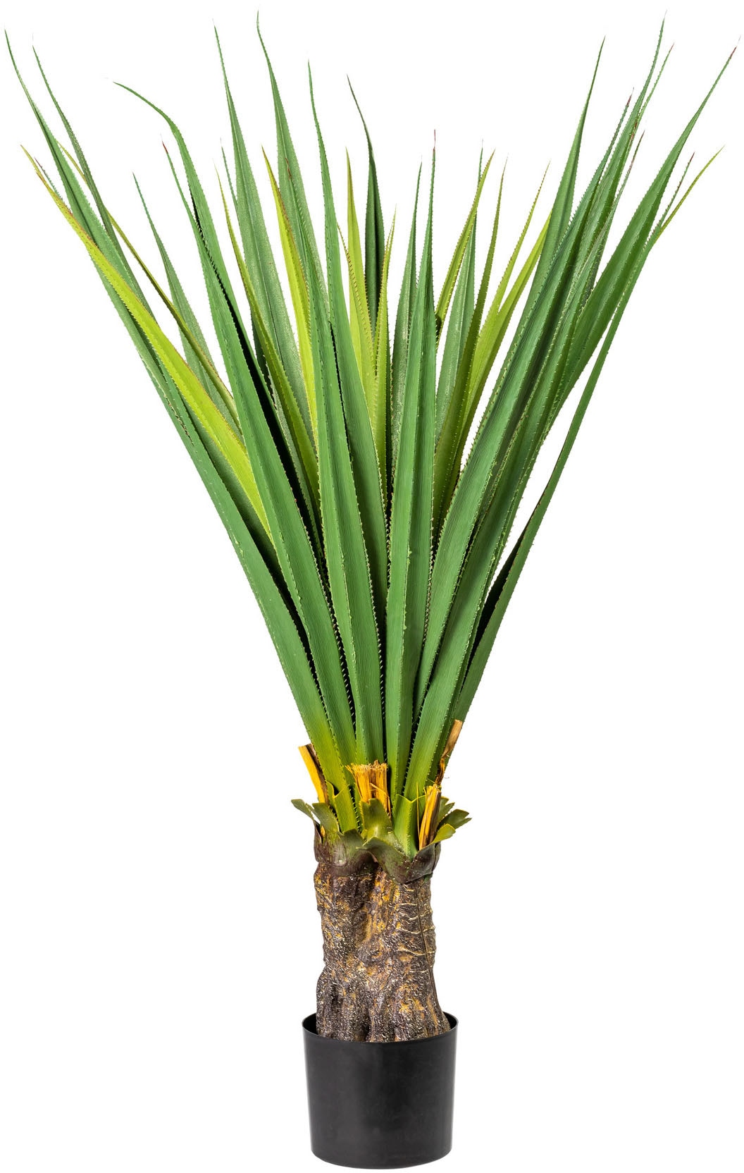 Creativ green Künstliche Zimmerpflanze »Aloe« Creativ green Künstliche Zimmerpflanze »Aloe« von Creativ green