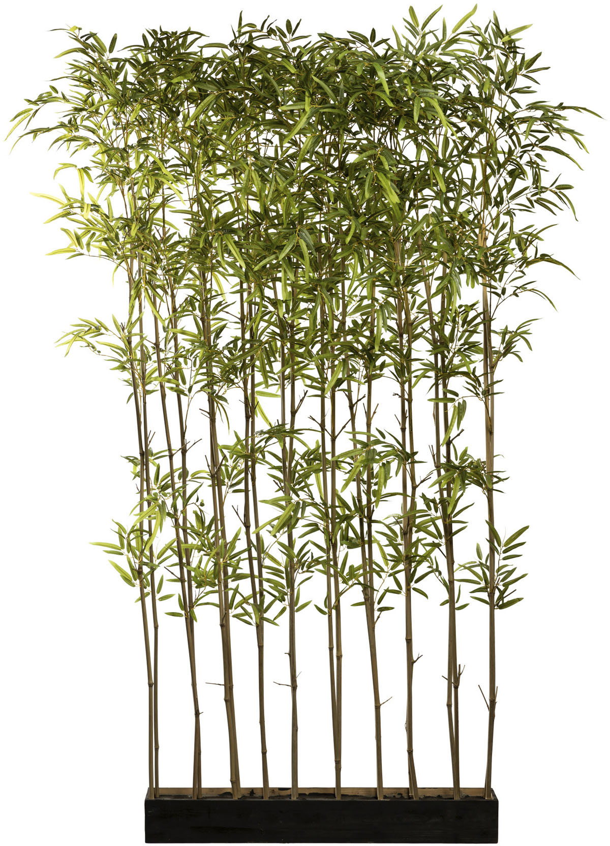 Creativ green Künstliche Zimmerpflanze »Bambusraumteiler«, im Holzkasten von Creativ green