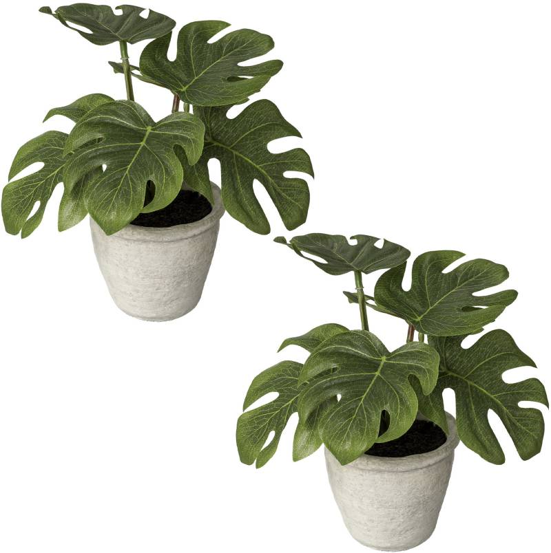 Creativ green Künstliche Zimmerpflanze »Blattpflanze Splitphilodendron«, im Paperpot von Creativ green