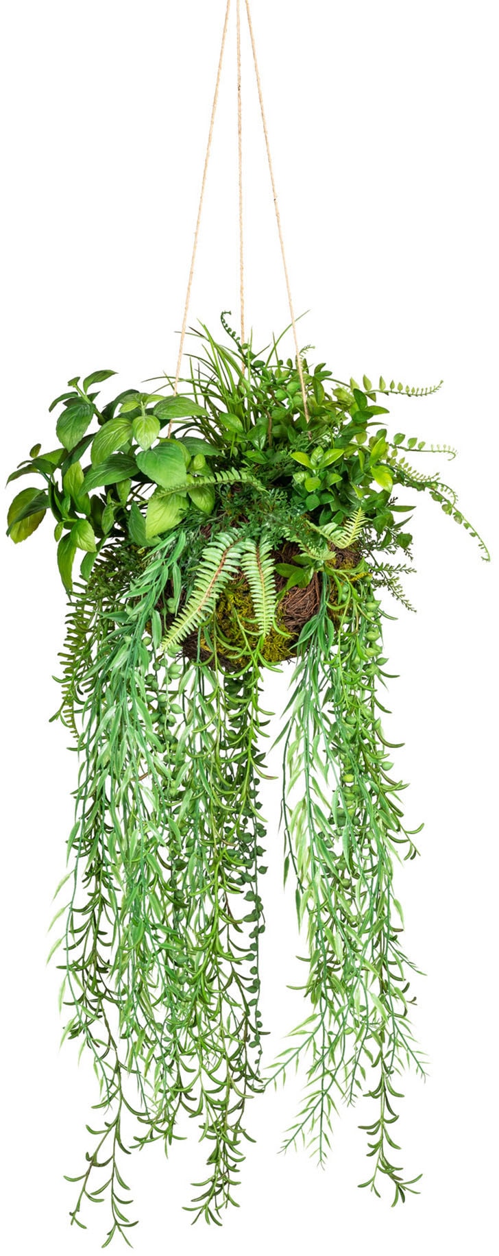 Creativ green Künstliche Zimmerpflanze »Dekokugel zum Hängen« Creativ green Künstliche Zimmerpflanze »Dekokugel zum Hängen« von Creativ green