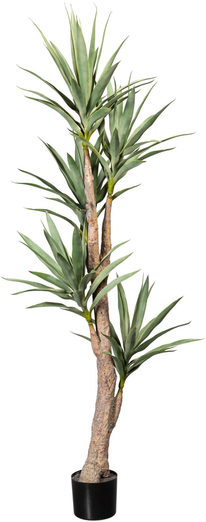 Creativ green Künstliche Zimmerpflanze »Dracaena« von Creativ green