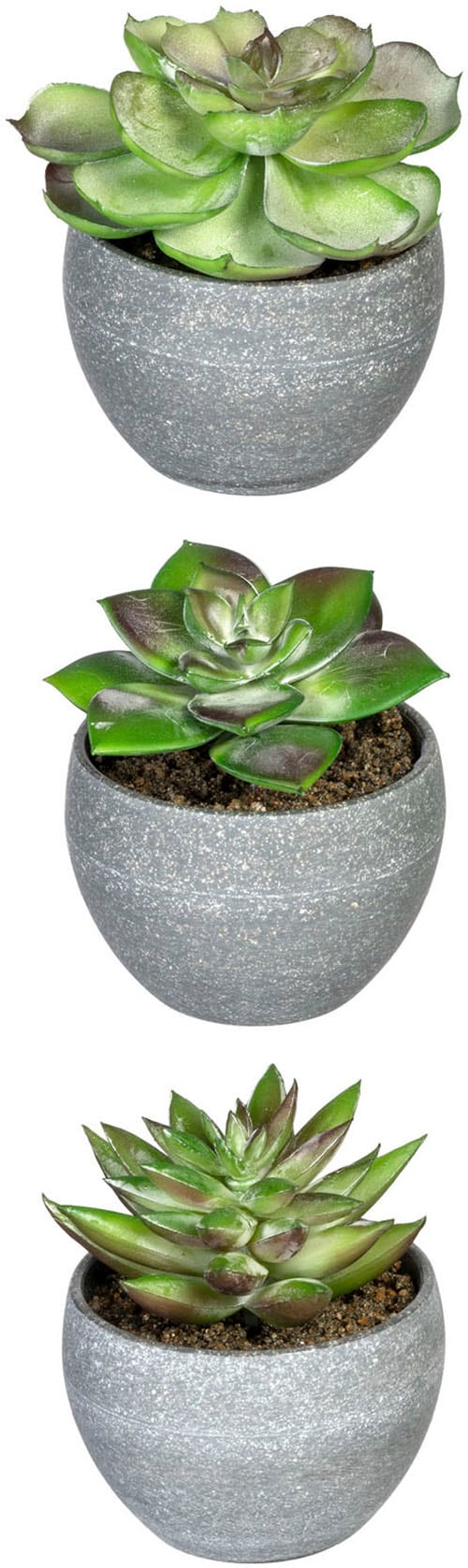 Creativ green Künstliche Zimmerpflanze »Sukkulenten« Creativ green Künstliche Zimmerpflanze »Sukkulenten« von Creativ green