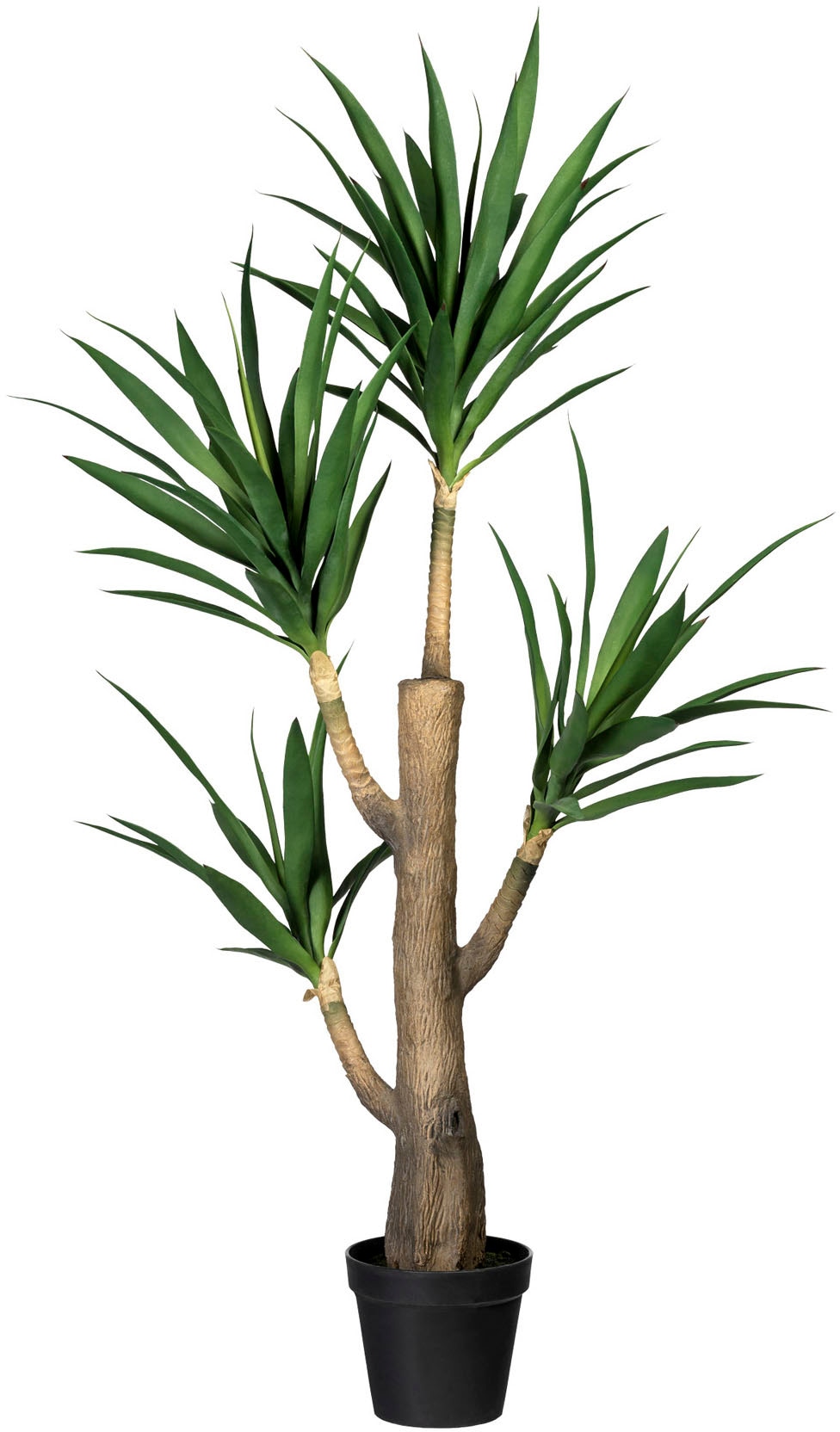 Creativ green Künstliche Zimmerpflanze »Dracaena fragans«, im Zementtopf von Creativ green