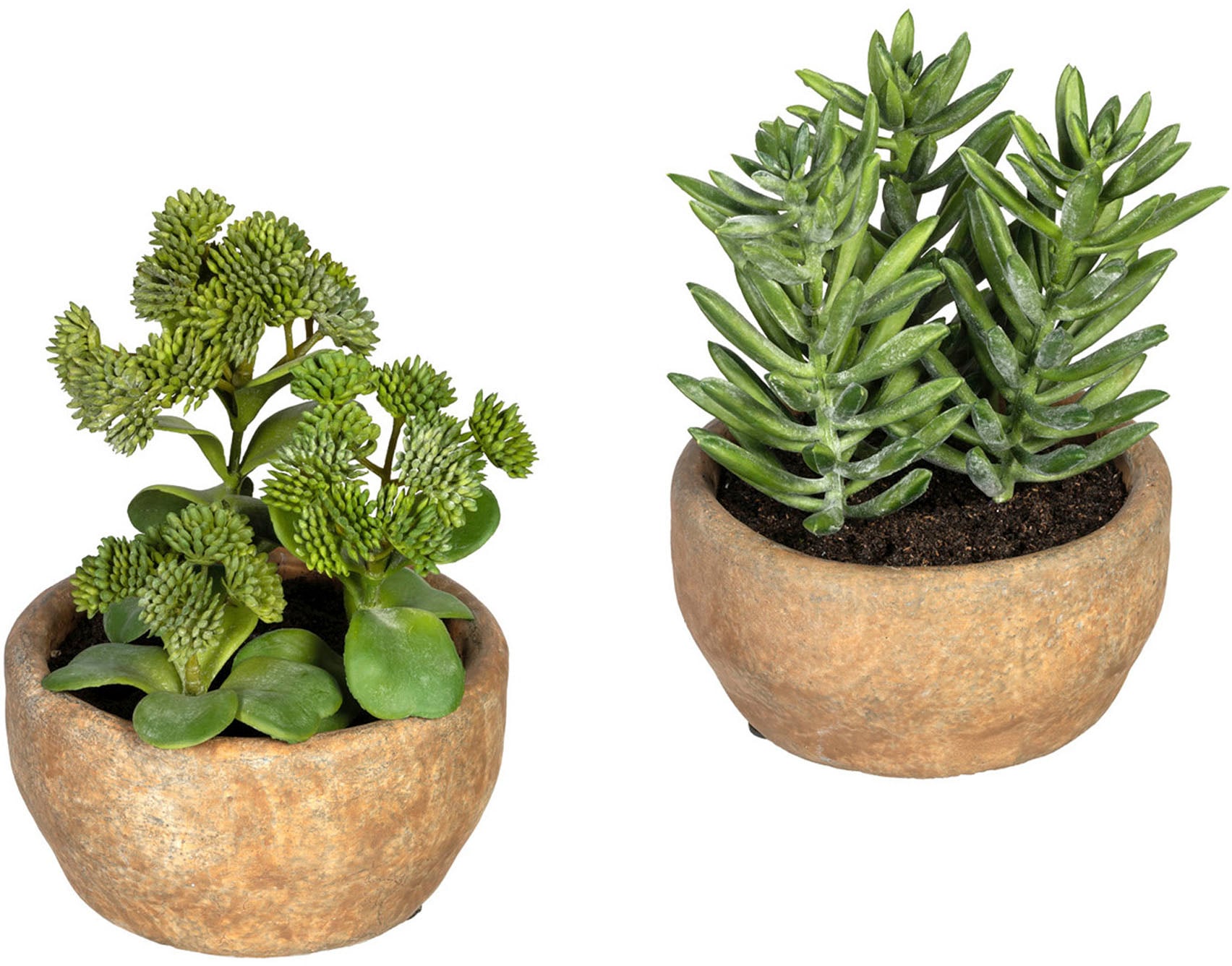 Creativ green Künstliche Zimmerpflanze »Sukkulenten Sedum und Aloe«, im Zementtopf, 2er Set von Creativ green