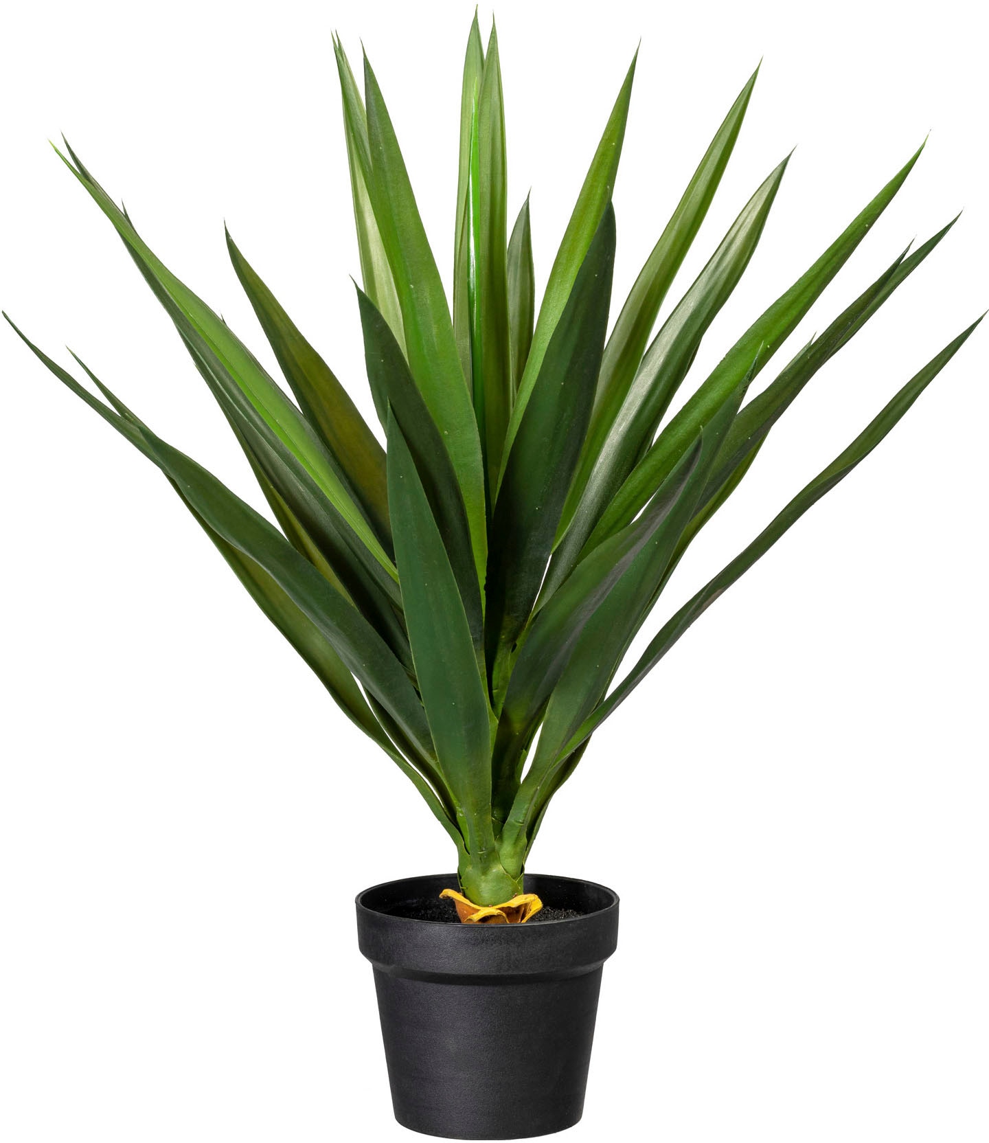 Creativ green Künstliche Zimmerpflanze »Yucca« von Creativ green