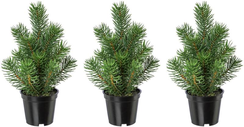 Creativ green Künstlicher Weihnachtsbaum »Weihnachtsdeko, künstlicher Christbaum, Tannenbaum«, täuschend echt aussehend von Creativ green