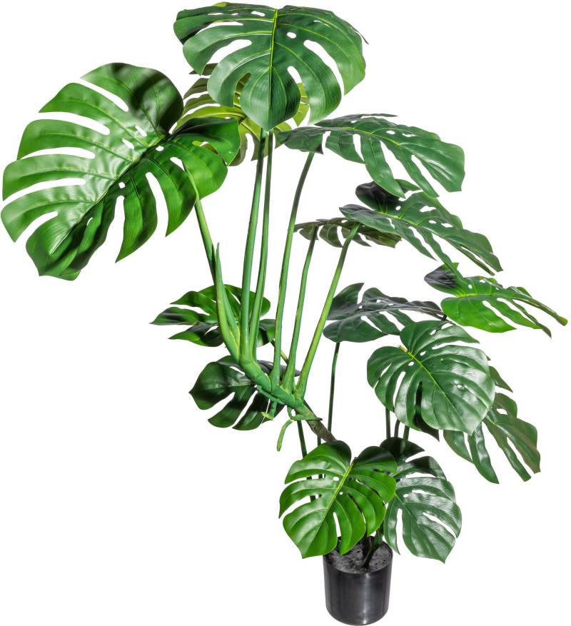 Creativ green Kunstbaum »Splitphilodendron« von Creativ green