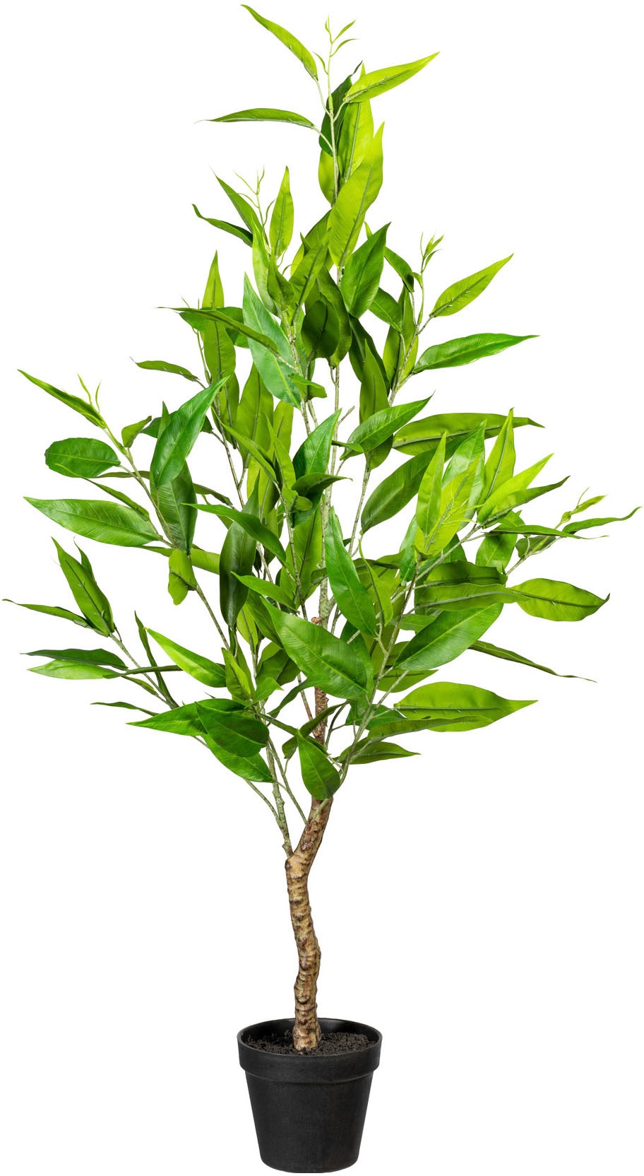 Creativ green Kunstbaum »Eukalypthus« von Creativ green