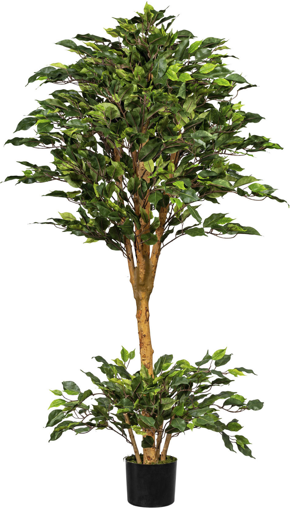 Creativ green Kunstbaum »Ficus Benjamini« von Creativ green