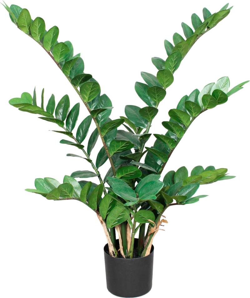 Creativ green Kunstpflanze »Zamifolia« von Creativ green