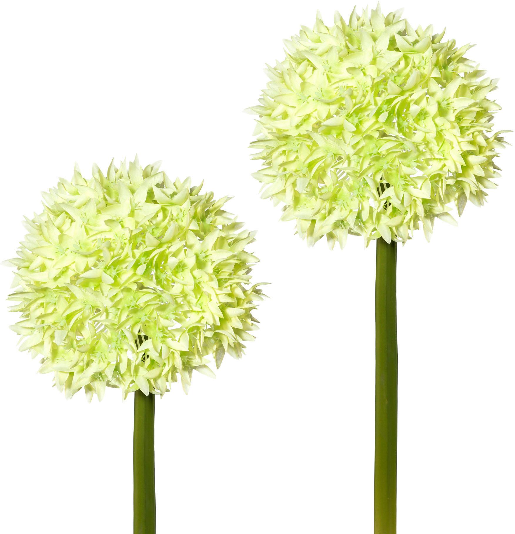 Creativ green Kunstblume, 2er Set von Creativ green