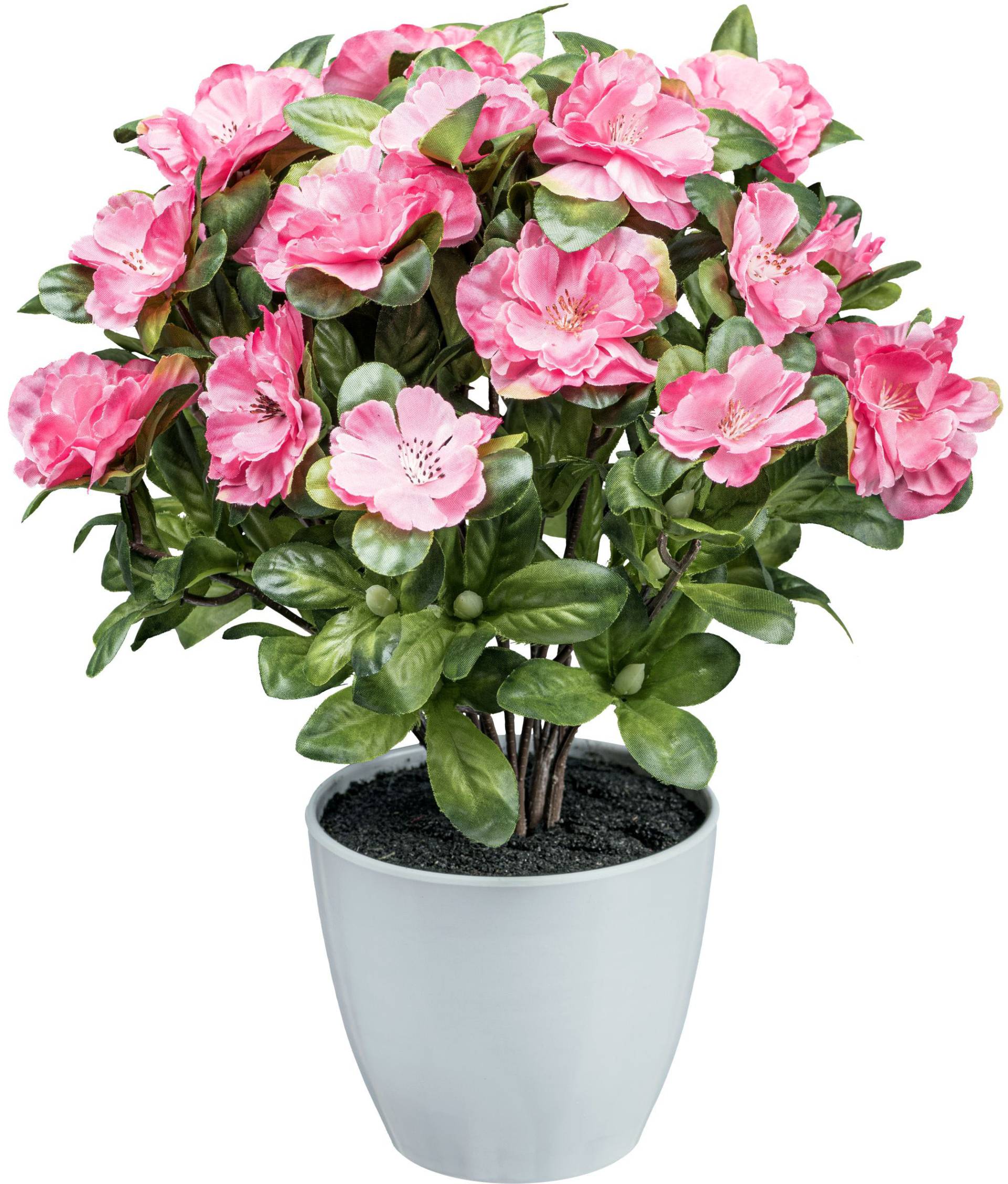 Creativ green Kunstblume »Azaleenbusch« Creativ green Kunstblume »Azaleenbusch« von Creativ green