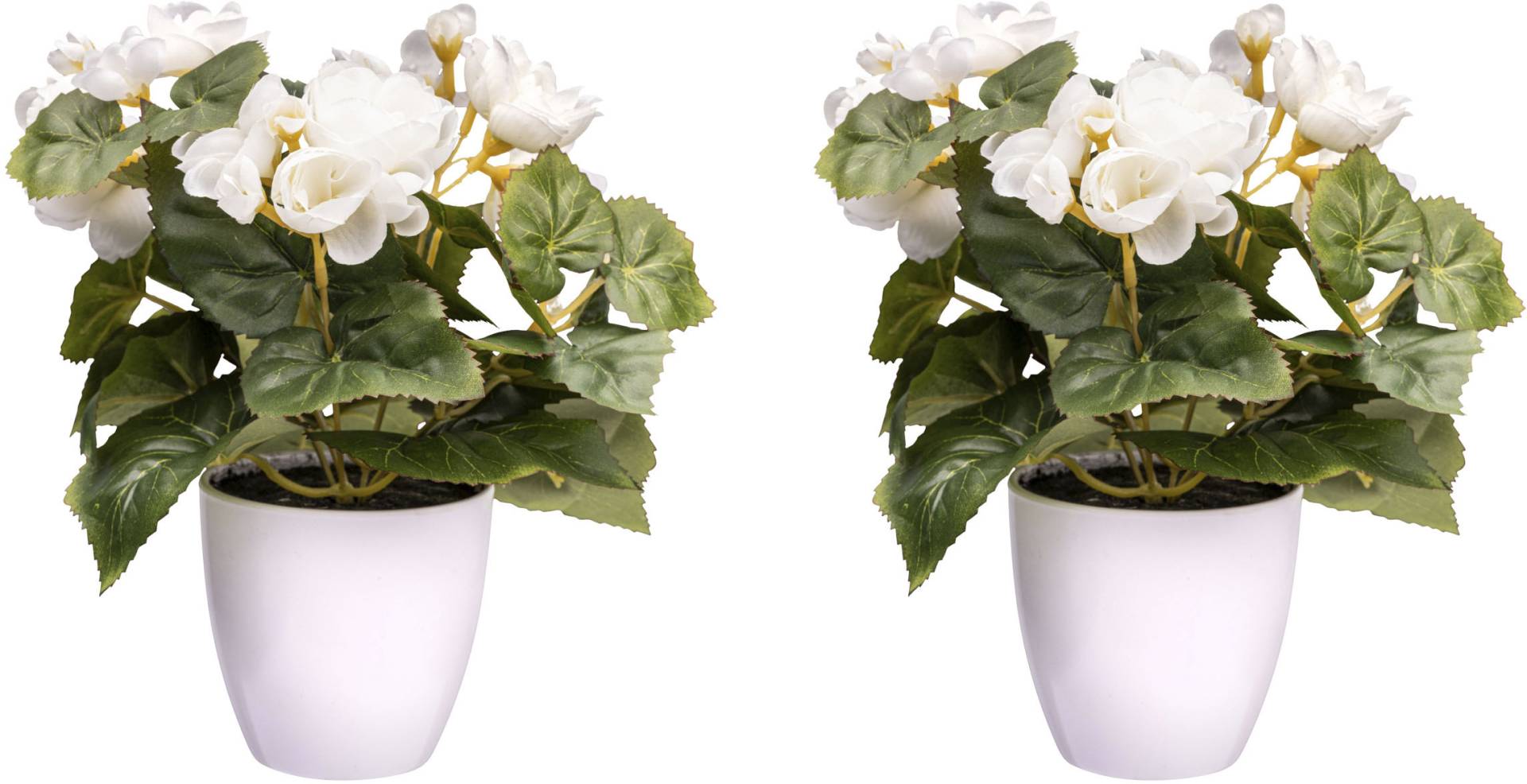 Creativ green Kunstblume »Begonienbusch« Creativ green Kunstblume »Begonienbusch« von Creativ green